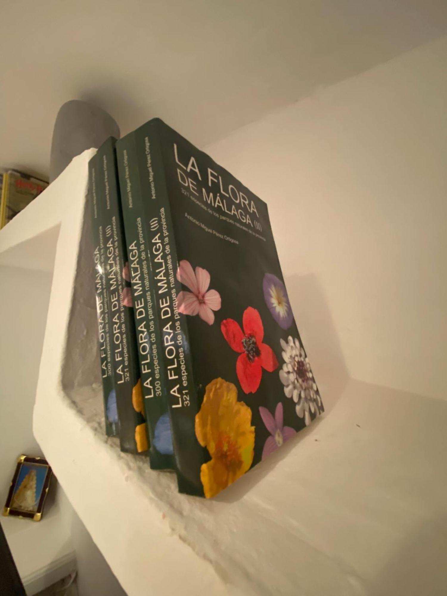 말라가 Rosan 아파트 외부 사진